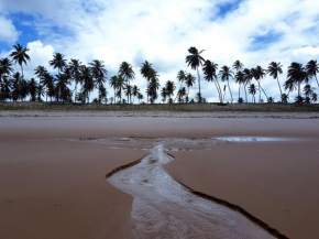 Rosagash Paradise - Praia de Santo Antonio